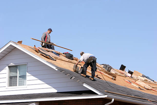 Best Roof Maintenance and Cleaning  in Quinlan, TX